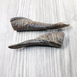 2 Small Polished Goat Horns #415d      Natural Colored