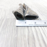 2 Small Polished Goat Horns #415d      Natural Colored