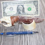 Muskrat Skull Handle Stone Blade Ornamental Knife #08660