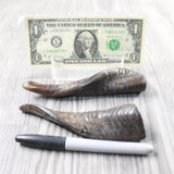 2 Small Polished Goat Horns #415d      Natural Colored