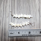 Rattlesnake Vertebrae  Earrings  #25160
