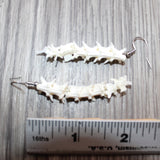 Rattlesnake Vertebrae  Earrings  #25160