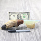 Deer Foot Handle Opalite Blade Ornamental Knife #125d     Mountain Man Knife