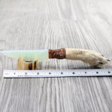 Coyote Foot Handle Opalite Blade Ornamental Knife #125d     Mountain Man Knife
