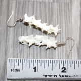 Rattlesnake Vertebrae  Earrings  #25660
