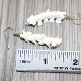 Rattlesnake Vertebrae  Earrings  #25660