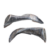 2 Small Polished Goat Horns #460      Natural Colored
