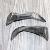 2 Small Polished Goat Horns #460      Natural Colored
