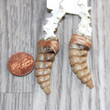Rattlesnake Rattle Plus Vertebrae Earrings  # 25860