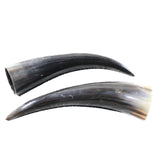 2 Small Polished Cow Horns #035d    Natural colored