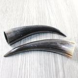 2 Small Polished Cow Horns #035d    Natural colored