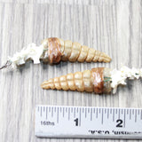 Rattlesnake Rattle Plus Vertebrae Earrings  #435d  Mountain Man Earrings