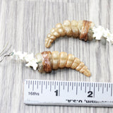 Rattlesnake Rattle Plus Vertebrae Earrings  #435d  Mountain Man Earrings