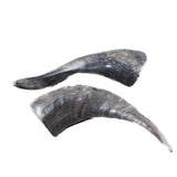 2 Small Polished Goat Horns #735d      Natural Colored