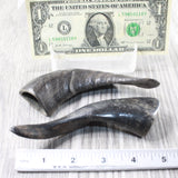 2 Small Polished Goat Horns #735d      Natural Colored