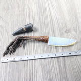Turkey Foot Handle Opalite Blade Ornamental Knife #035d     Mountain Man Knife