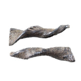 2 Small Polished Goat Horns #185d      Natural Colored