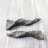 2 Small Polished Goat Horns #185d      Natural Colored