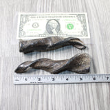 2 Small Polished Goat Horns #185d      Natural Colored