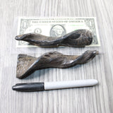 2 Small Polished Goat Horns #185d      Natural Colored