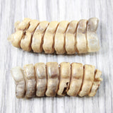 2 Large Rattlesnake Rattles  #005d    Taxidermy Diamondback Sidewinder