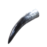 1 Small Polished Cow Horn #305d Natural Colored