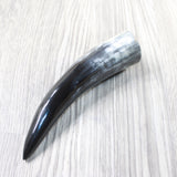 1 Small Polished Cow Horn #305d Natural Colored