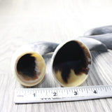 4 Small Raw Unfinished Cow Horns #605d   Natural Colored