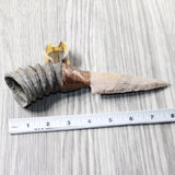 Springbok Horn Handle Stone Blade Ornamental Knife #105d    Mountain Man Knife