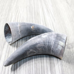 2 Small Raw Unfinished Cow Horns #4751 Natural Colored