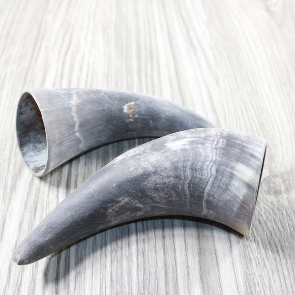 2 Small Raw Unfinished Cow Horns #4751 Natural Colored