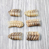 6 Small Rattlesnake Rattles  #715d    Taxidermy Diamondback Sidewinder