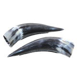 2 Polished Cow Horns #215d    Natural colored