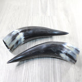 2 Polished Cow Horns #215d    Natural colored