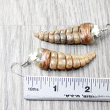 Very Large Rattlesnake Rattle Earrings  #425d  Mountain Man Earrings