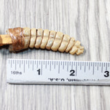 Very Very Large Rattlesnake Rattle  Necklace  #435d    Mountain Man Necklace