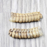 2 Very Large Rattlesnake Rattles  #635d    Taxidermy Diamondback Sidewinder