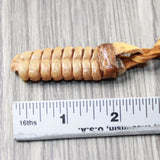 Very Very Large Rattlesnake Rattle  Necklace  #645d    Mountain Man Necklace