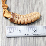 Very Very Large Rattlesnake Rattle  Necklace  #645d    Mountain Man Necklace