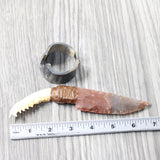 Fox Jaw Handle Stone Blade Ornamental Knife #345d    Mountain Man Knife