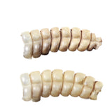 2 Rattlesnake Rattles  #045d    Taxidermy Diamondback Sidewinder