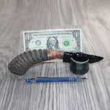 Springbok Horn Handle Obsidian  Blade Ornamental Knife #01660