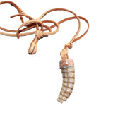 Very Large Rattlesnake Rattle  Necklace  # 25360