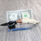 Coyote Foot Handle Obsidian  Blade Ornamental Knife #27860