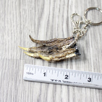 Small Alligator Foot Key Ring   #4051  Mountain Man Key Chain z