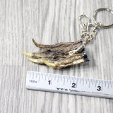 Small Alligator Foot Key Ring   #4051  Mountain Man Key Chain z