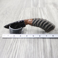 Springbok Horn Handle Obsidian Blade Ornamental Knife #1552 Mountain Man Knife
