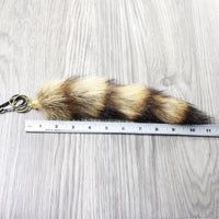 1 Raccoon Tail Key Ring #1552  Taxidermy Keychain Tassel Bag Tag
