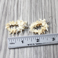 Rattlesnake Vertebrae Hoop Earrings  #4552  Mountain Man Earrings