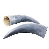 2 Raw Unfinished Cow Horns #6752 Natural Colored